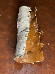 White Birch Tube, Approximately 11.5 Inches Long by About 3 Inches Diameter