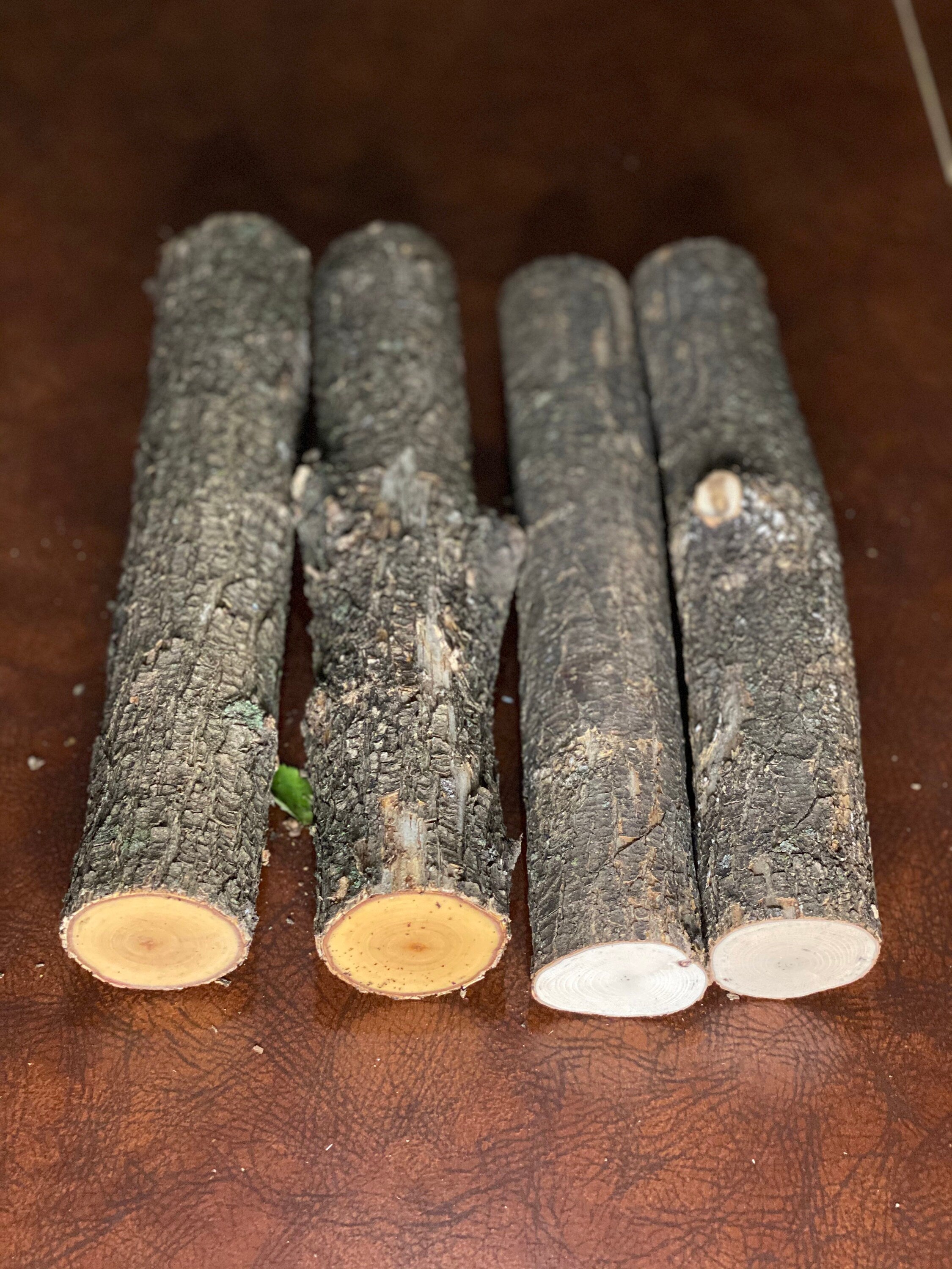 Ironwood Logs, 4 Count, Approximately 12 Inches Long by About 2 Inches in Diameter