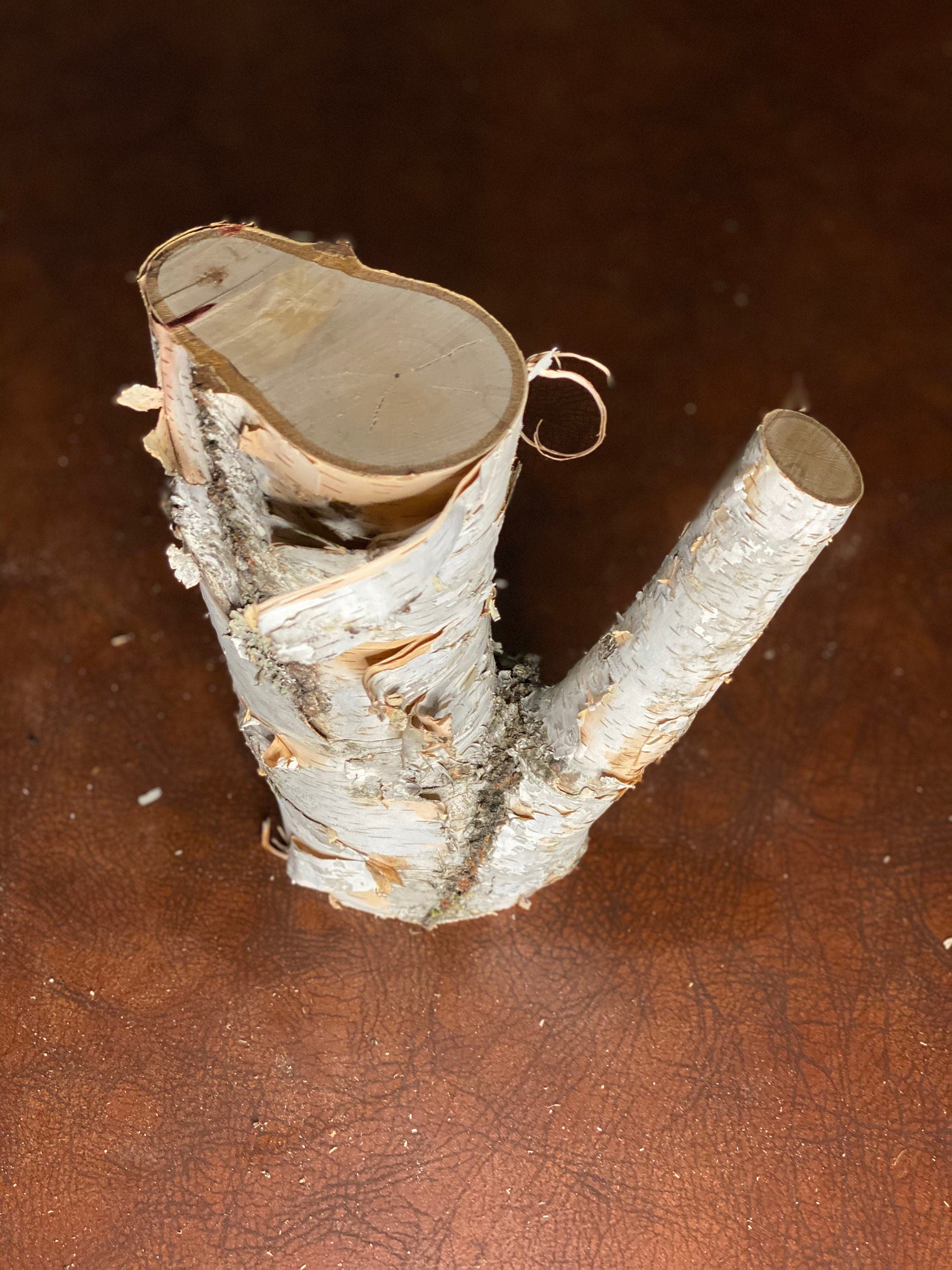 White Birch V- Shaped Log, Approximately 8 Inches Long by 4 Inches Wide, 3.5 Inches Thick