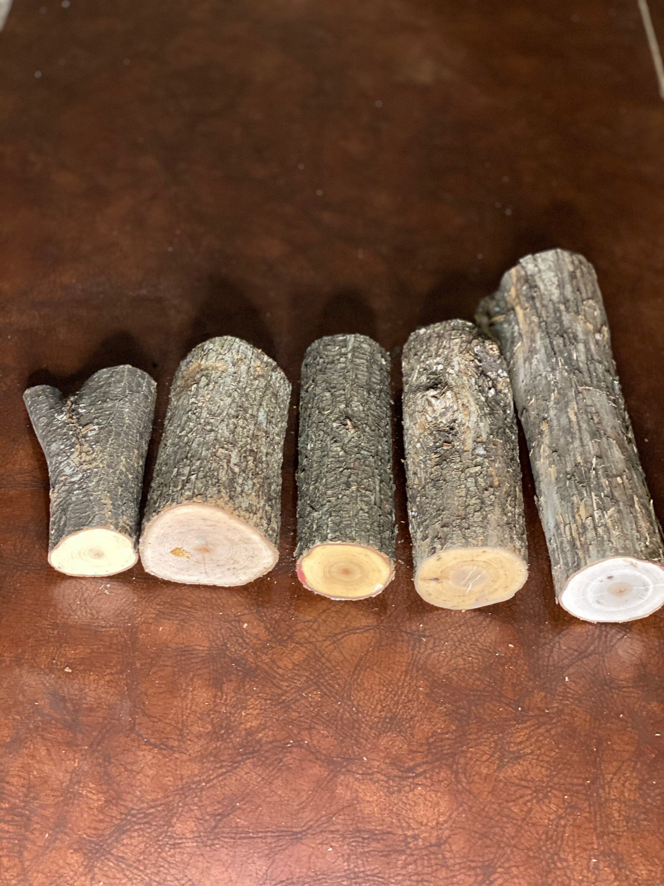 Ironwood Logs, Hophornbeam Ends and Pieces, 5 Count, Approximately 4-11 Inches Long and About 1-4 Inches Diameter