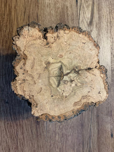 Burl, oak burl approximately 2 inches thick and about 6 inches diameter including the 3 inch branch solidly attached