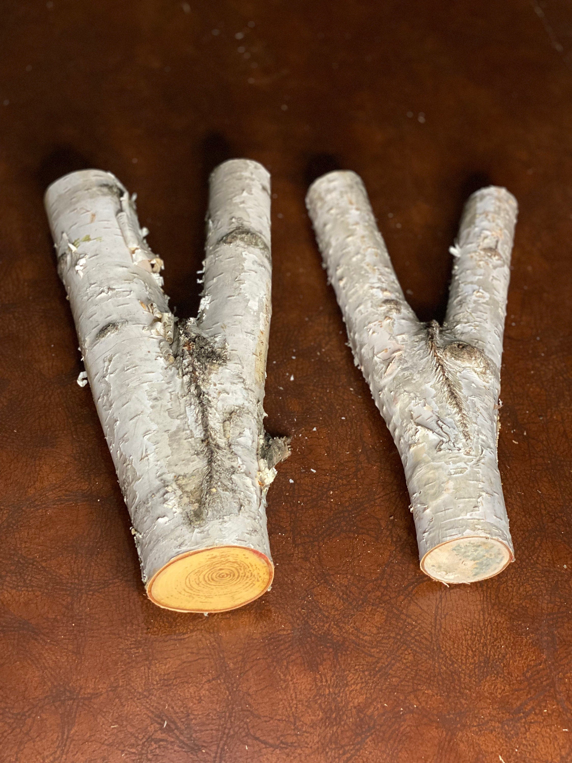 White Birch Y Shaped Logs, 2 Count, About 12 Inches Long by 6 Inches Wide by 2 Inches Thick