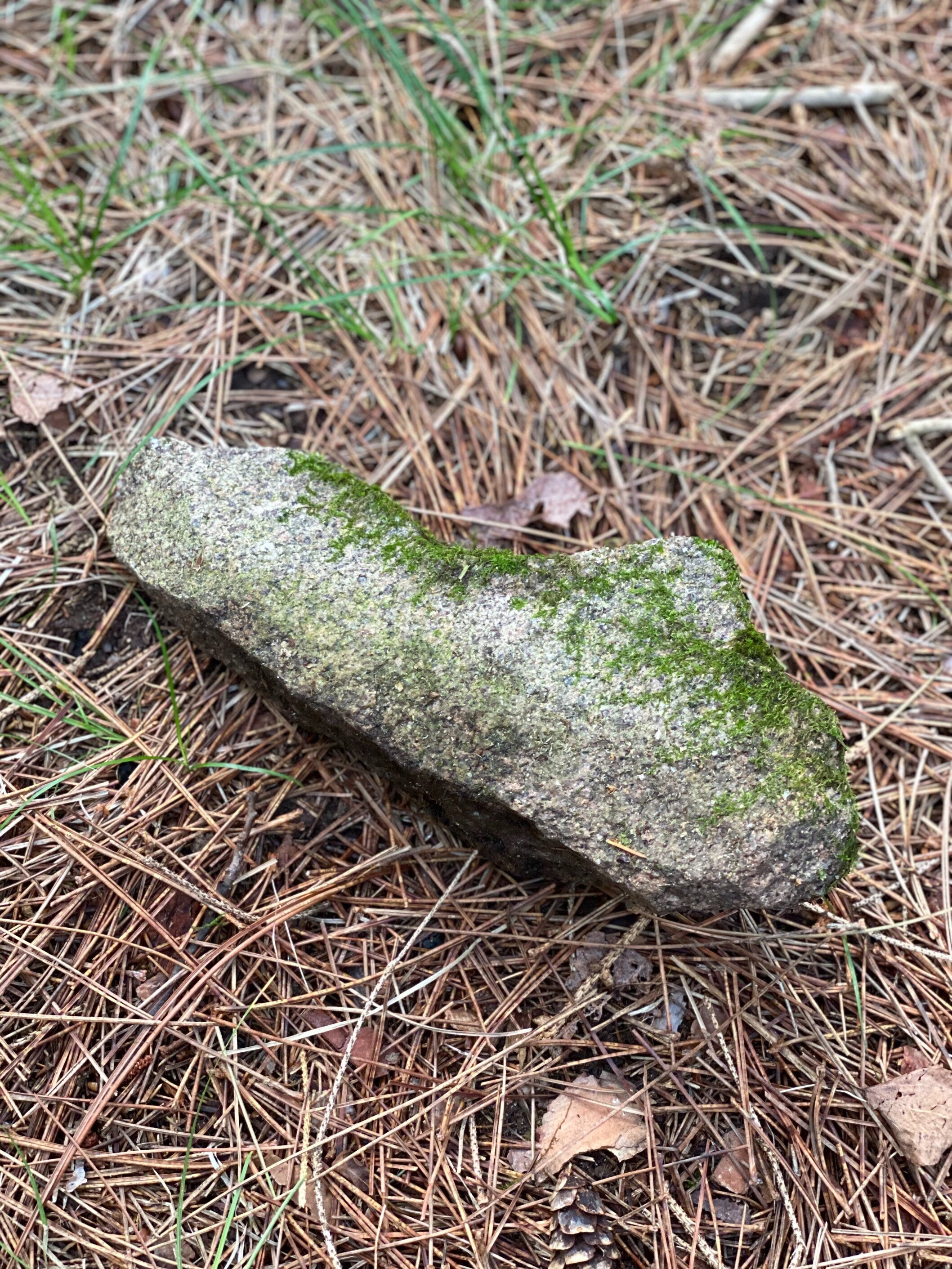 Live Moss Covered Rock, Triangle-Shaped Mossy Rock, Approximately 10 x 4 x 3 Inches