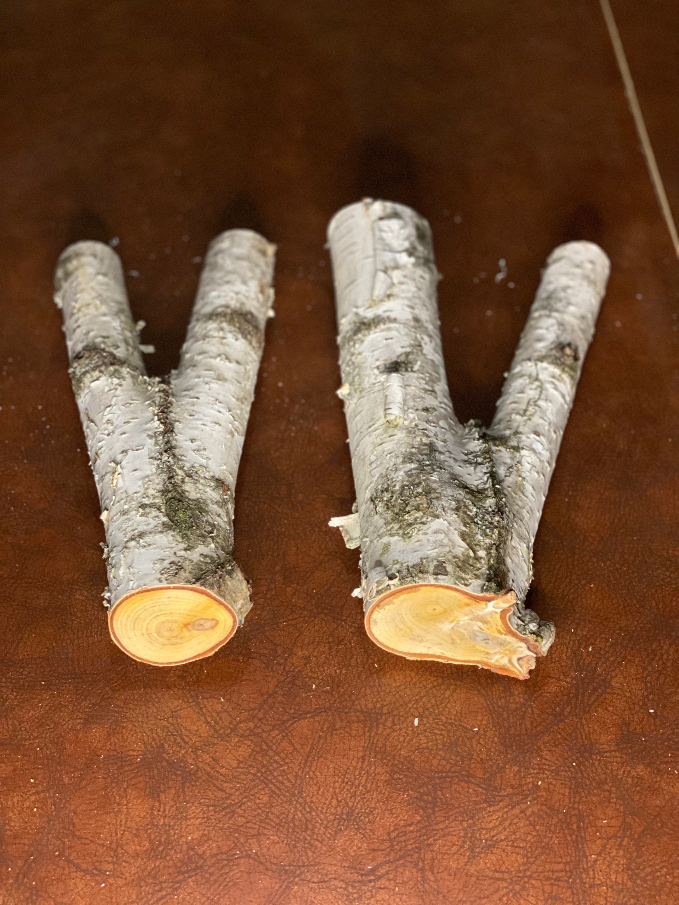 White Birch Y Shaped Logs, 2 Count, About 12 Inches Long by 6 Inches Wide and 3 Inches Thick