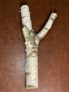 White Birch Y Shaped Log, About 31 Inches Long by 15 Inches Wide by 4 Inches Thick