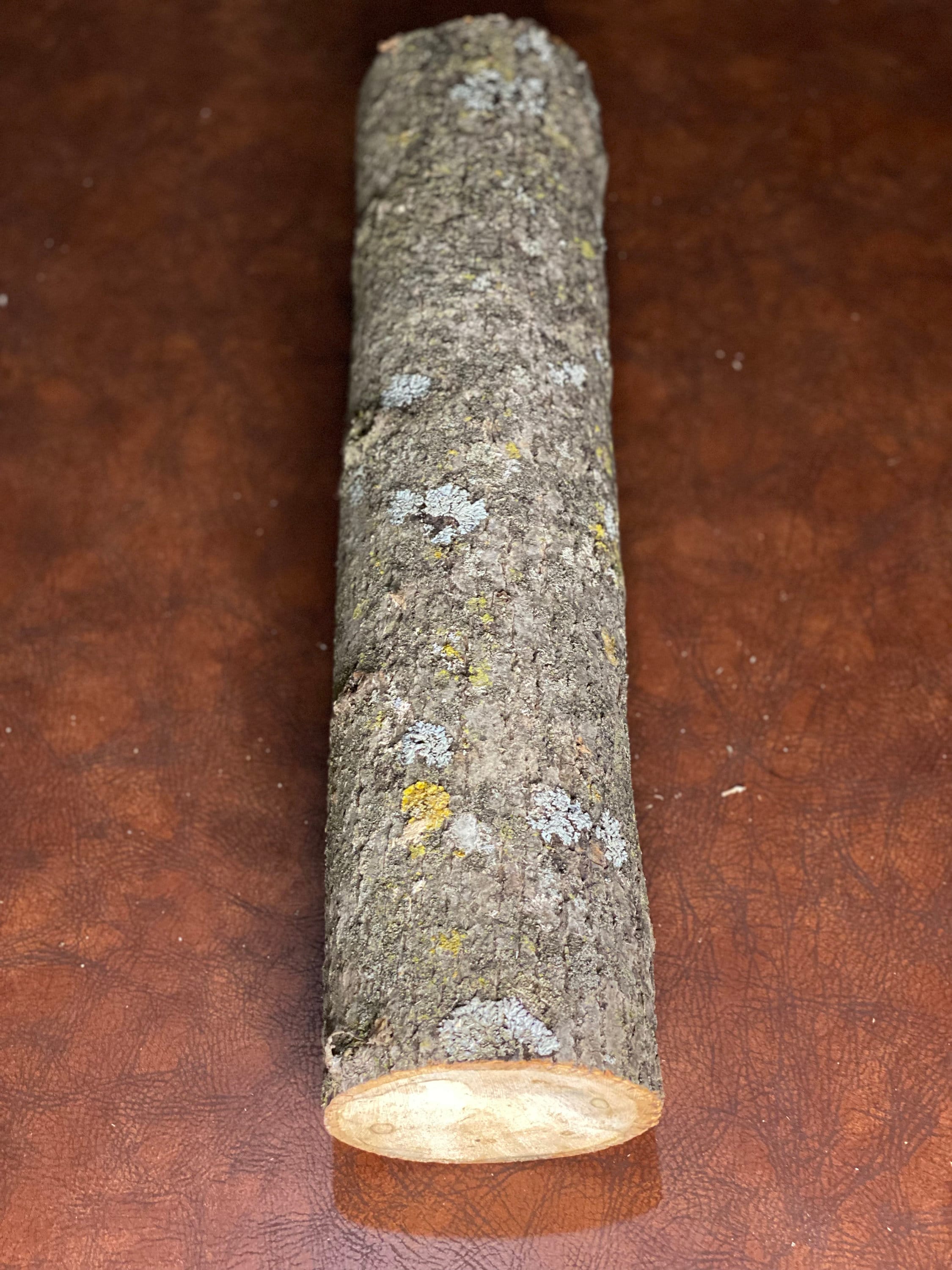Basswood Log, One Count, About 20 Inches Long by 5 Inches Diameter