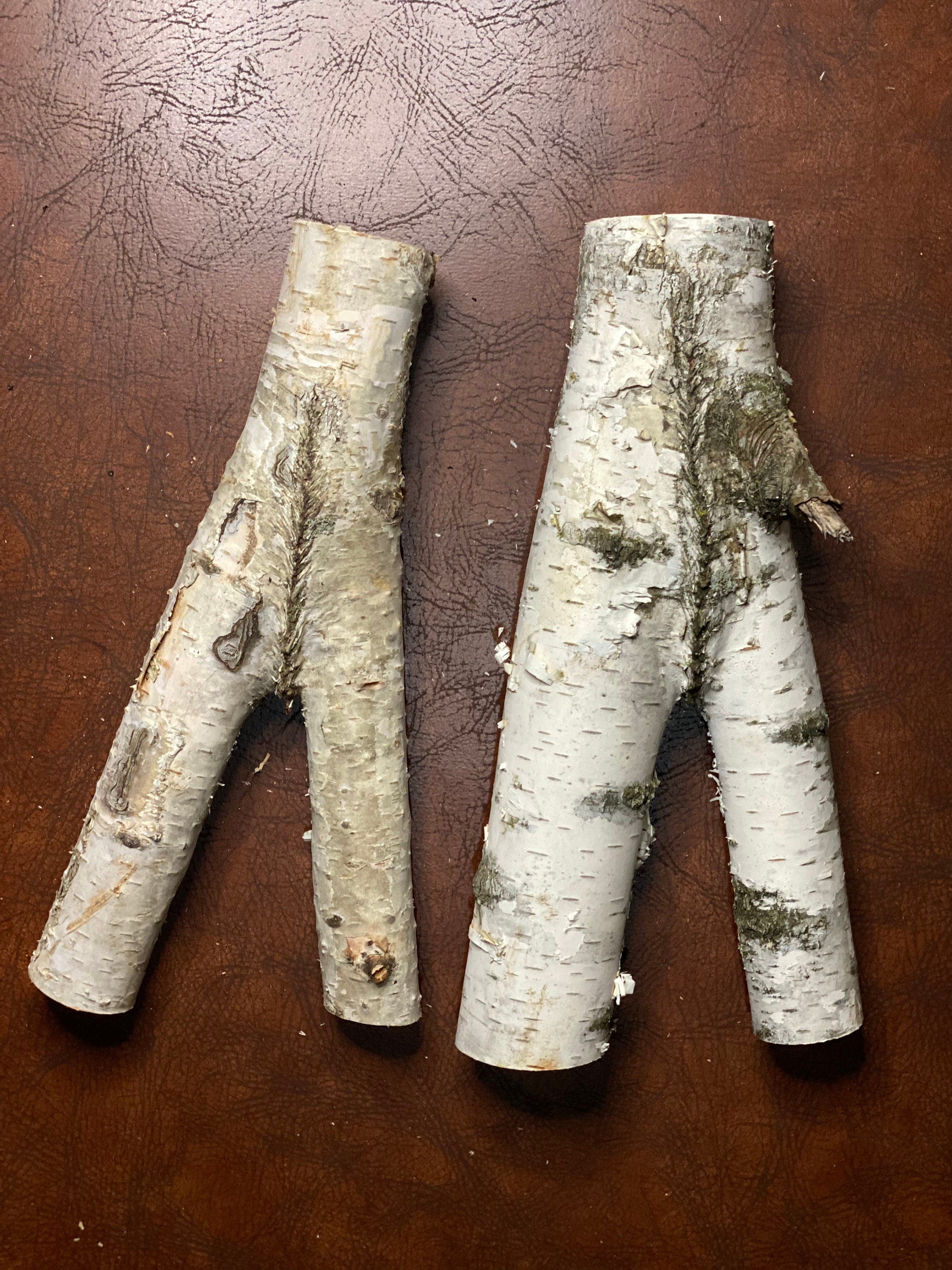 White Birch Y Shaped Logs, 2 Count, About 12 Inches Long by 6 Inches Wide by 2 Inches Thick