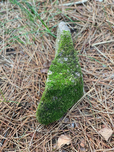 Live Moss Covered Rock, Triangle-Shaped Mossy Rock, Approximately 10 x 4 x 3 Inches