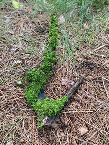 Moss Covered Log, Mossy Log, 18 Inches Long by 8 Inches Wide and 2 Inches High