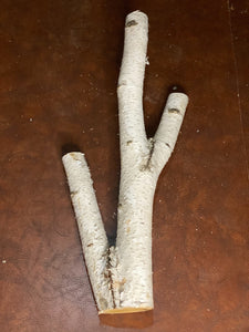 White Birch 3-Prong Log, About 24 Inches Long by 12 Inches Wide by 4 Inches Thick