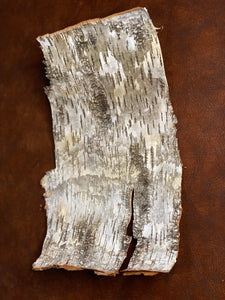 White Birch Bark, Approximately 15 Inches x 9 Inches