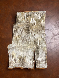 White Birch Bark, Approximately 15 Inches x 9 Inches