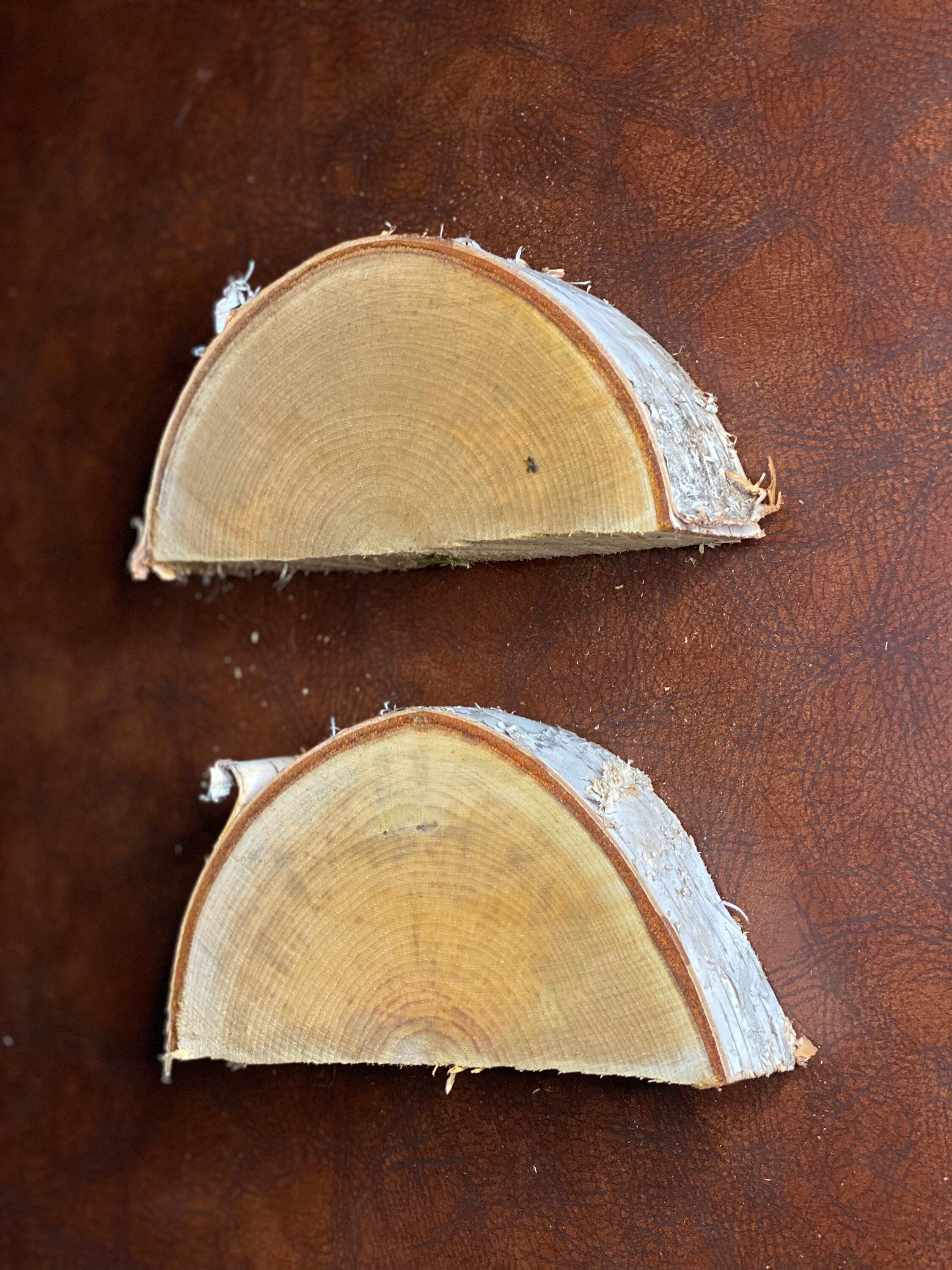 White Birch Half Slices, Approximately 7.5 Inches Long by 4 Inches Wide and 2 Inches Tall
