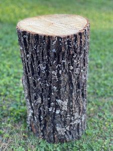 Basswood Log, One Count, About 12 Inches Long by 14 Inches Diameter