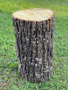 Basswood Log, One Count, About 12 Inches Long by 8 Inches Diameter