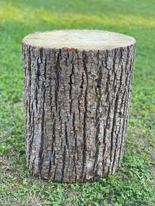 Basswood Log, One Count, About 14 Inches Long by 10 Inches Diameter