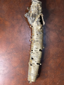 Yellow Birch Bark Tube, Approximately 15 Inches Long by 2 Inches Diameter
