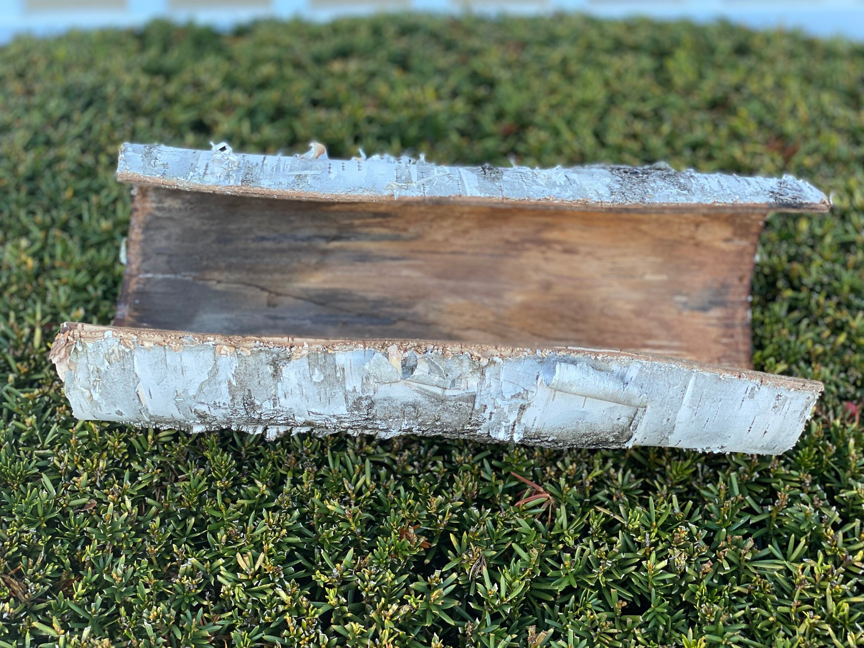 White Birch Turtle Tunnel, Approximately 13 x 6 x 4 Inches