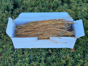 4 Ounces of Pine Straw, Brown Pine Needles, Dried - 4 Oz