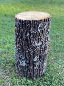 Basswood Log, One Count, About 12 Inches Long by 14 Inches Diameter