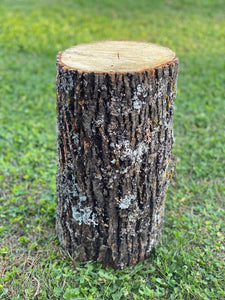 Basswood Log, One Count, About 12 Inches Long by 9 Inches Diameter