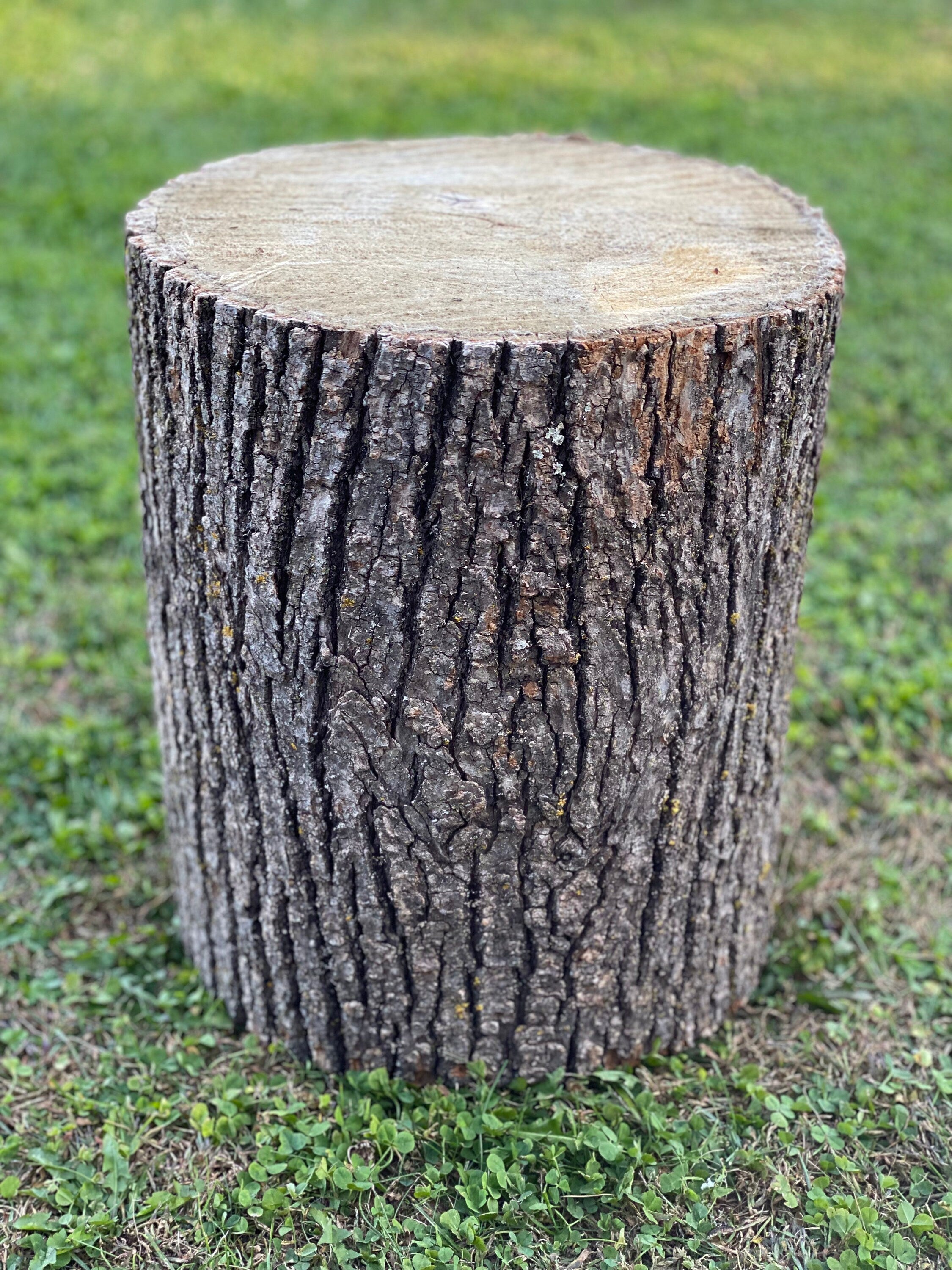 Basswood Log, One Count, About 14 Inches Long by 10 Inches Diameter