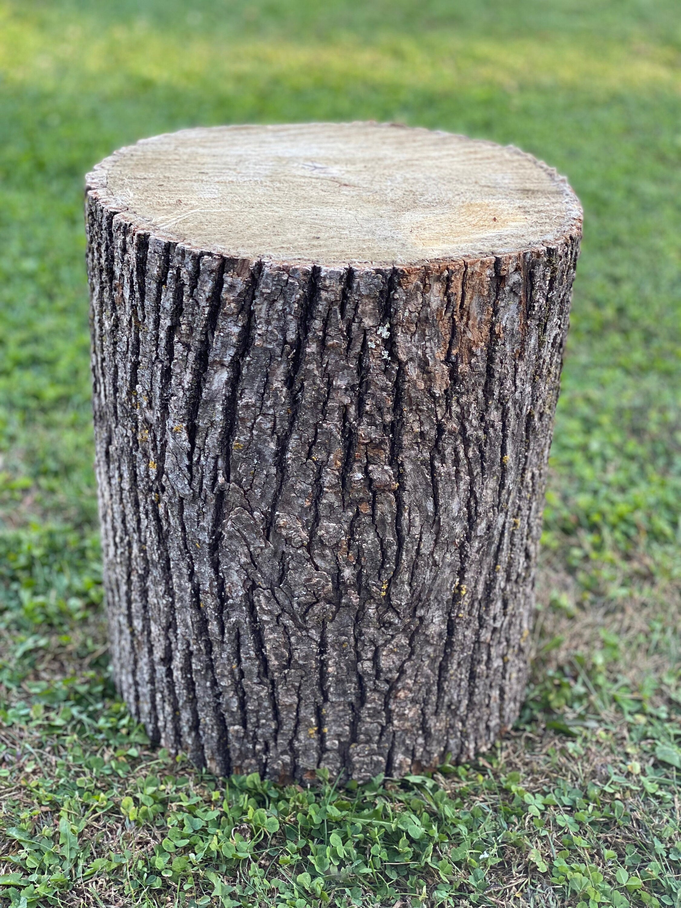 Basswood Log, One Count, About 14 Inches Long by 10 Inches Diameter