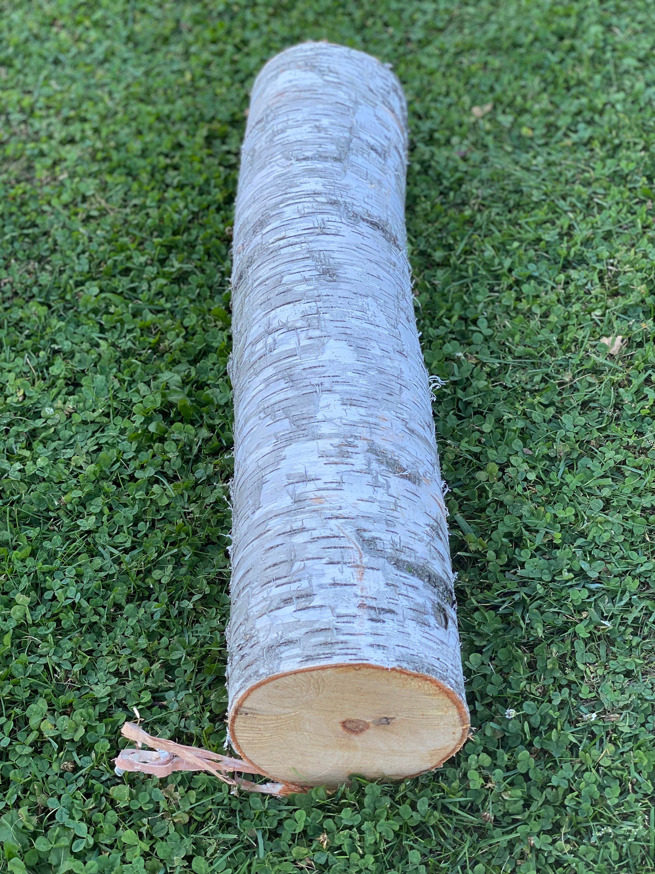 One White Birch Log Approximately 30 Inches Long by 5-6 Inches Diameter