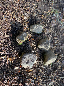 Mossy Rocks, Five Moss Covered Stones, About 1-2 Inches in Size