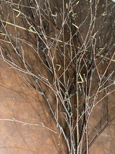 Six Unique Bundles of White Birch Branches with Purple Bark, Approximately 40 Inches in Length