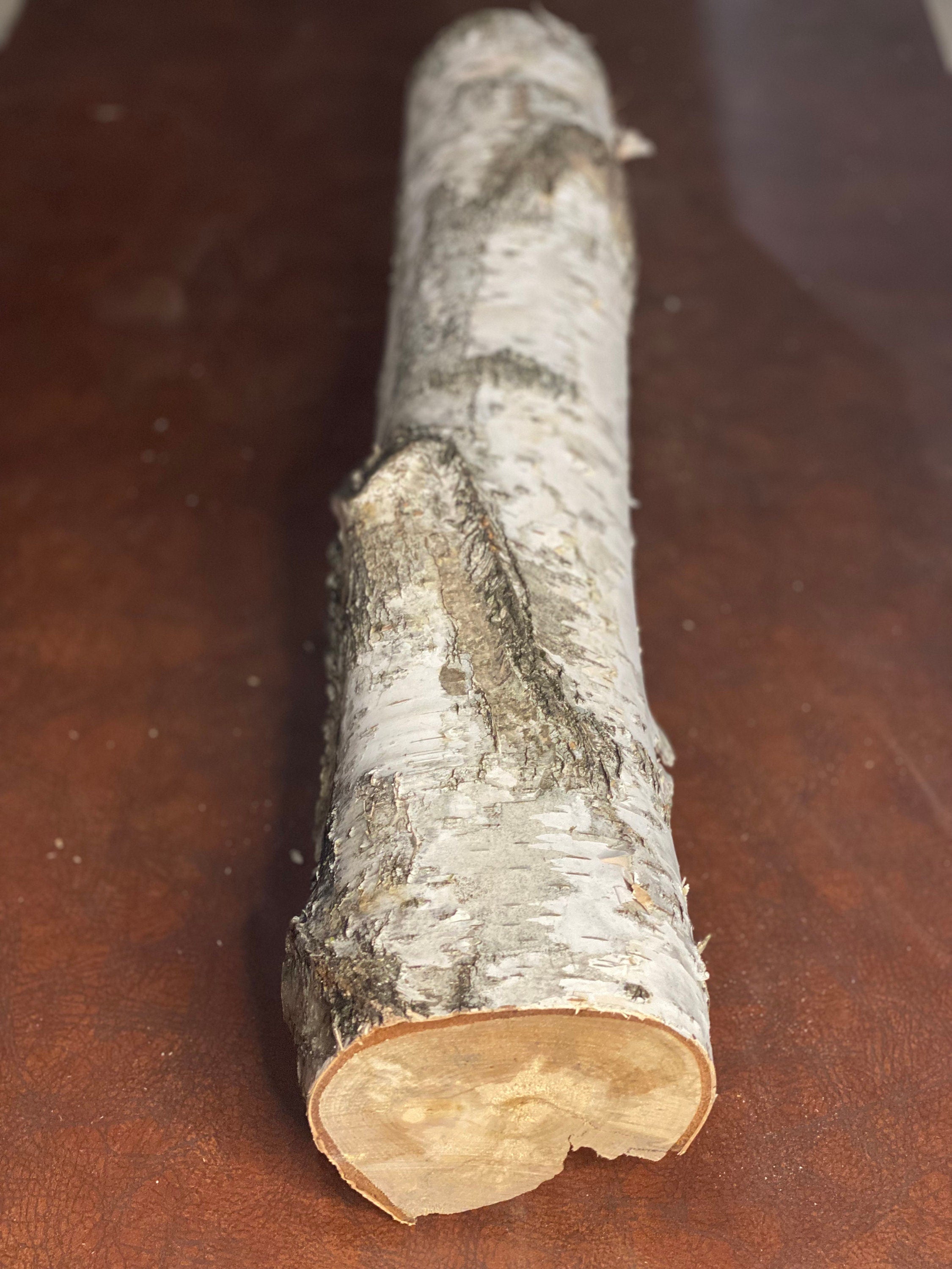 White Birch Log, Approximately 21 Inches Long by 4 Inches Wide and 4 Inches High