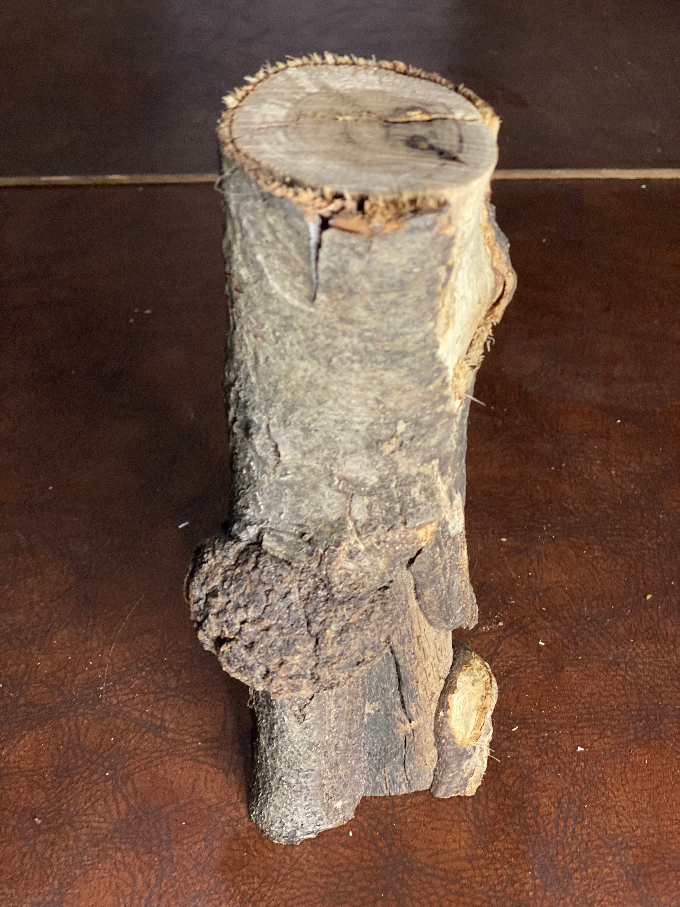 Burl, Oak Log with Burl, Fairy Garden, Approximately 9 by 3.5 by 2.5 Inches