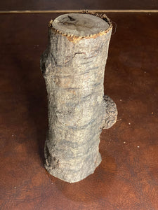 Burl, Oak Log with Burl, Fairy Garden, Approximately 9 by 3.5 by 2.5 Inches