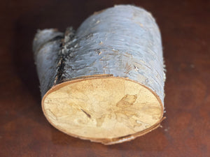 White Birch Log, Approximately 6 Inches Long by 8 Inches Wide and 5 Inches High