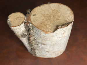 White Birch Log, Approximately 6 Inches Long by 8 Inches Wide and 5 Inches High