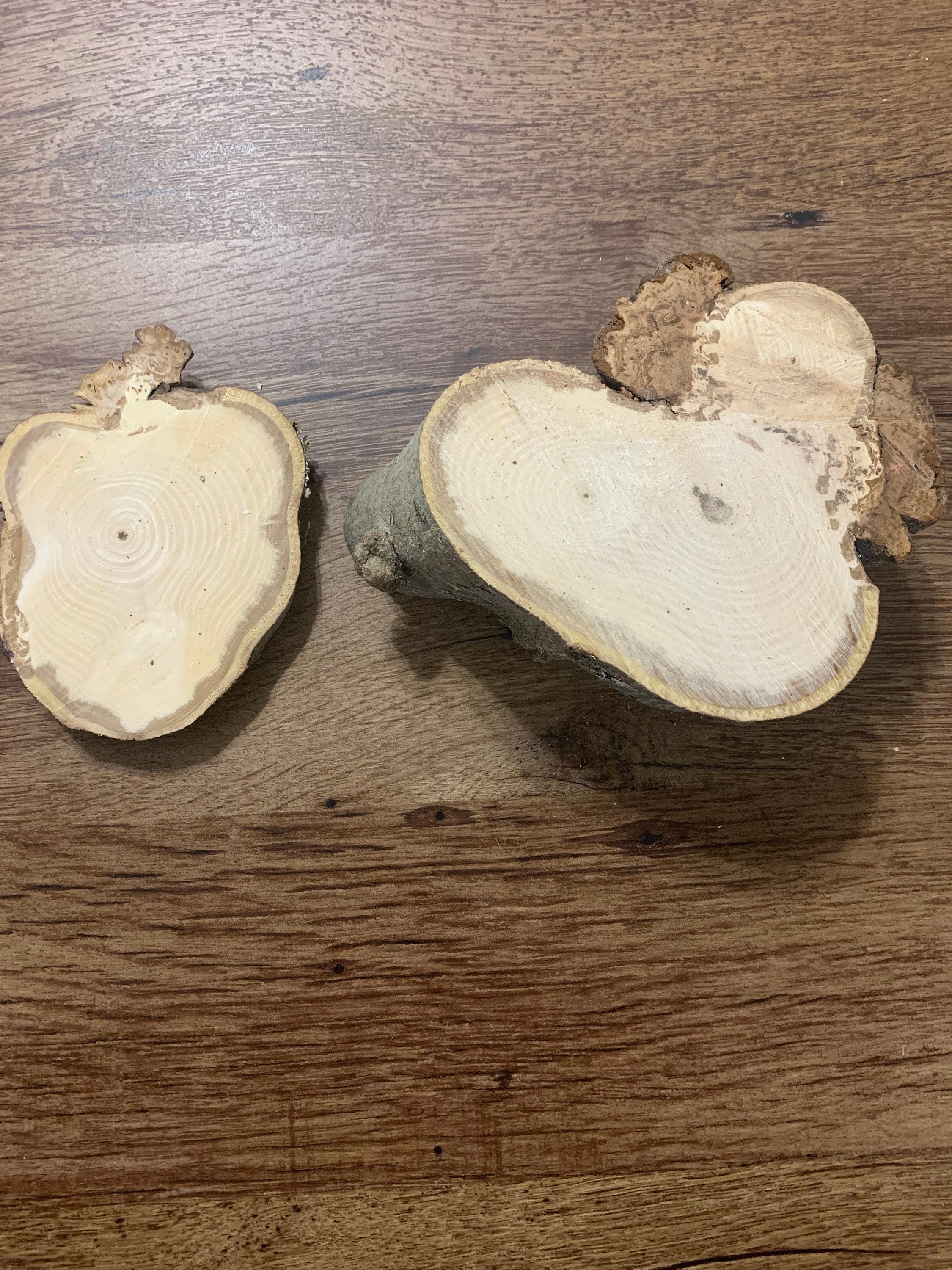 Two Maple Burl Pieces, They Are Approximately 5 Inches Wide With One About 2 Inches High and the other 1/2 inch