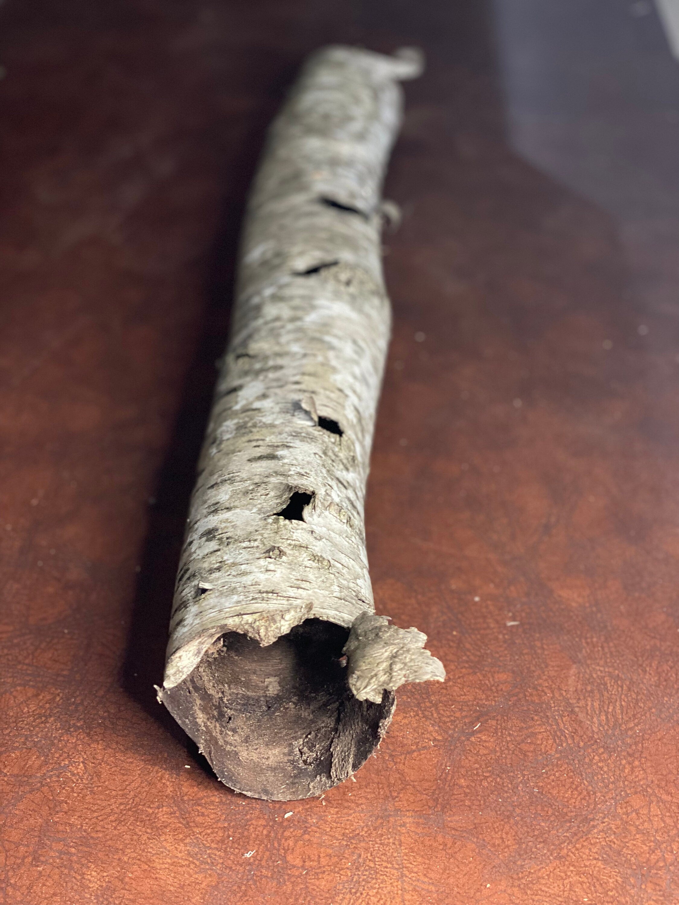 White Birch Bark Tube, Approximately 23 Inches Long by 4 Inches Wide and 3 Inches High