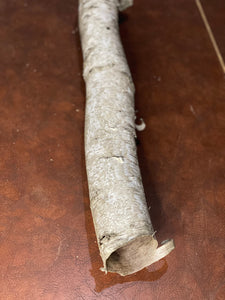 White Birch Bark Tube, Approximately 23 Inches Long by 4 Inches Wide and 3 Inches High