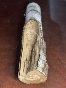 White Birch Log, Approximately 21 Inches Long by 4 Inches Wide and 4 Inches High