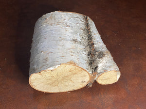 White Birch Log, Approximately 6 Inches Long by 8 Inches Wide and 5 Inches High