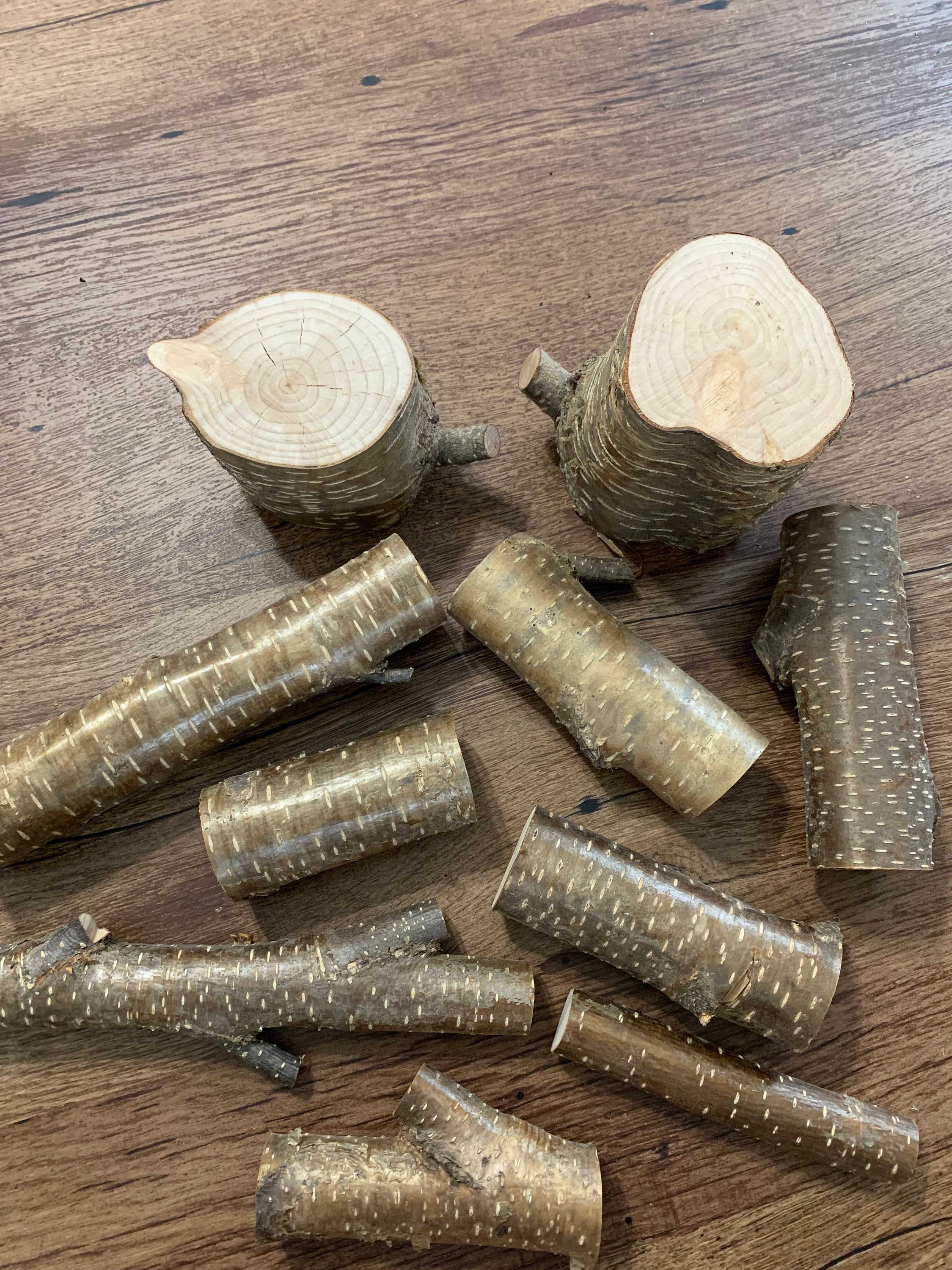 Yellow Birch Logs, 10 Golden Pieces, Assorted Sizes