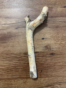 Unique White Birch "R" Shaped Branch, Approximately  11 inches long