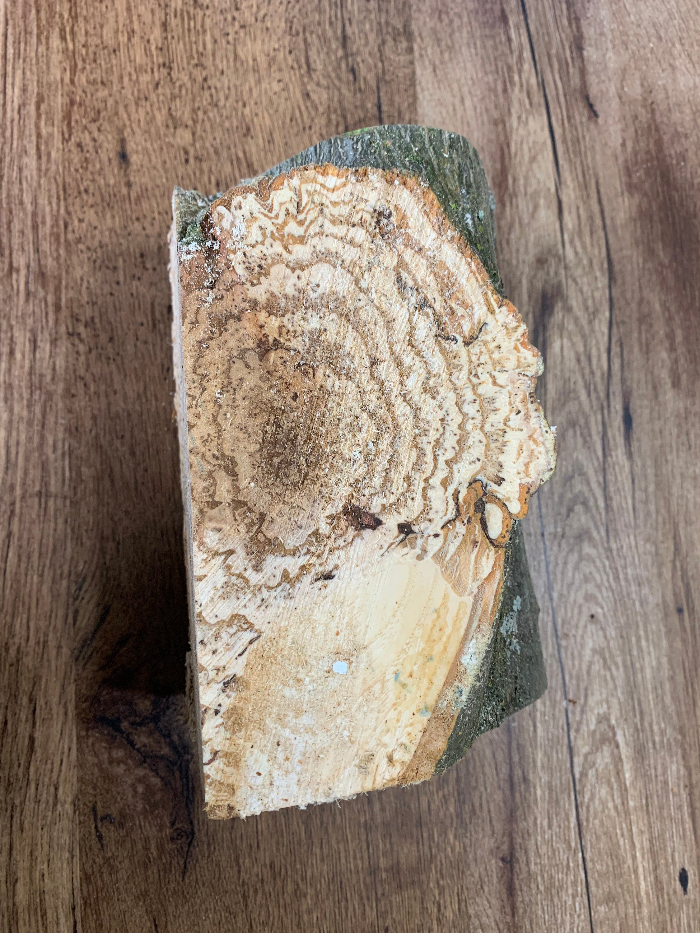 Burl, Hickory Burl, Cut