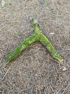 Moss Covered Log, Mossy Y-Shaped Log, 10 Inches Long by 9 Inches Wide and 1 Inch High