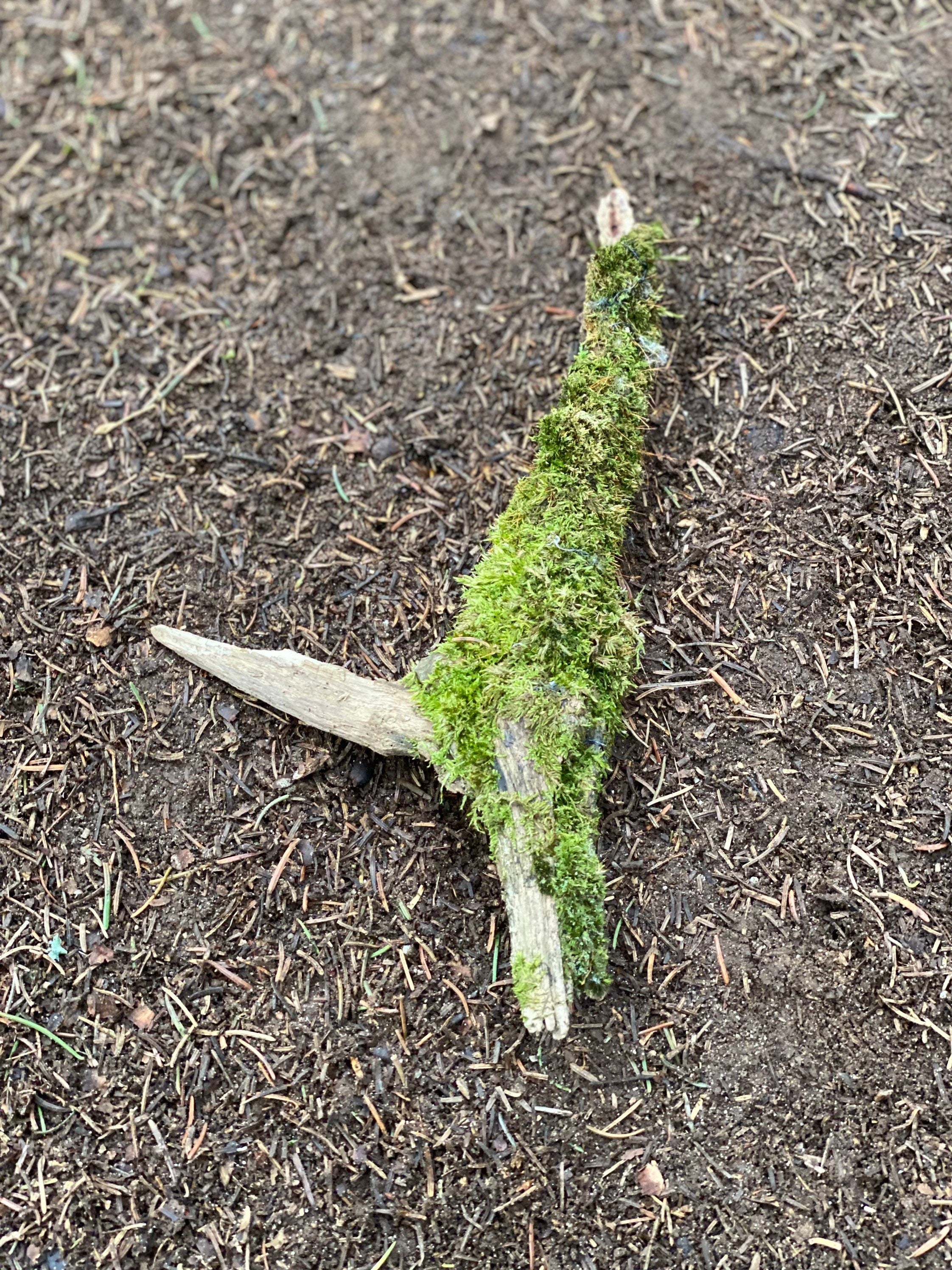 Moss Covered Log, Mossy Log, 10 Inches Long by 5 Inches Wide and 1 Inch High