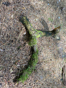 Mossy Log with a Hook, Approximately 10 Inches x 7 Inches Wide and About 4 Inches High