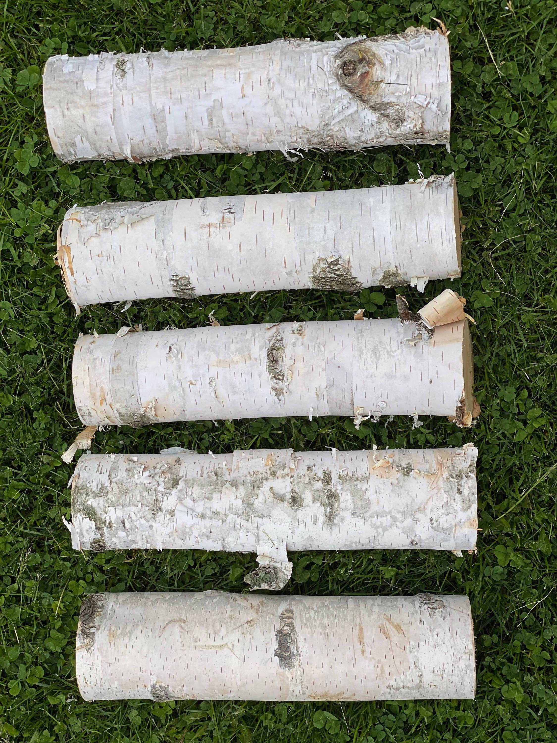 White Birch Branches, 5 Count, 12 inches in Length, Appx 3 Inches Diameter