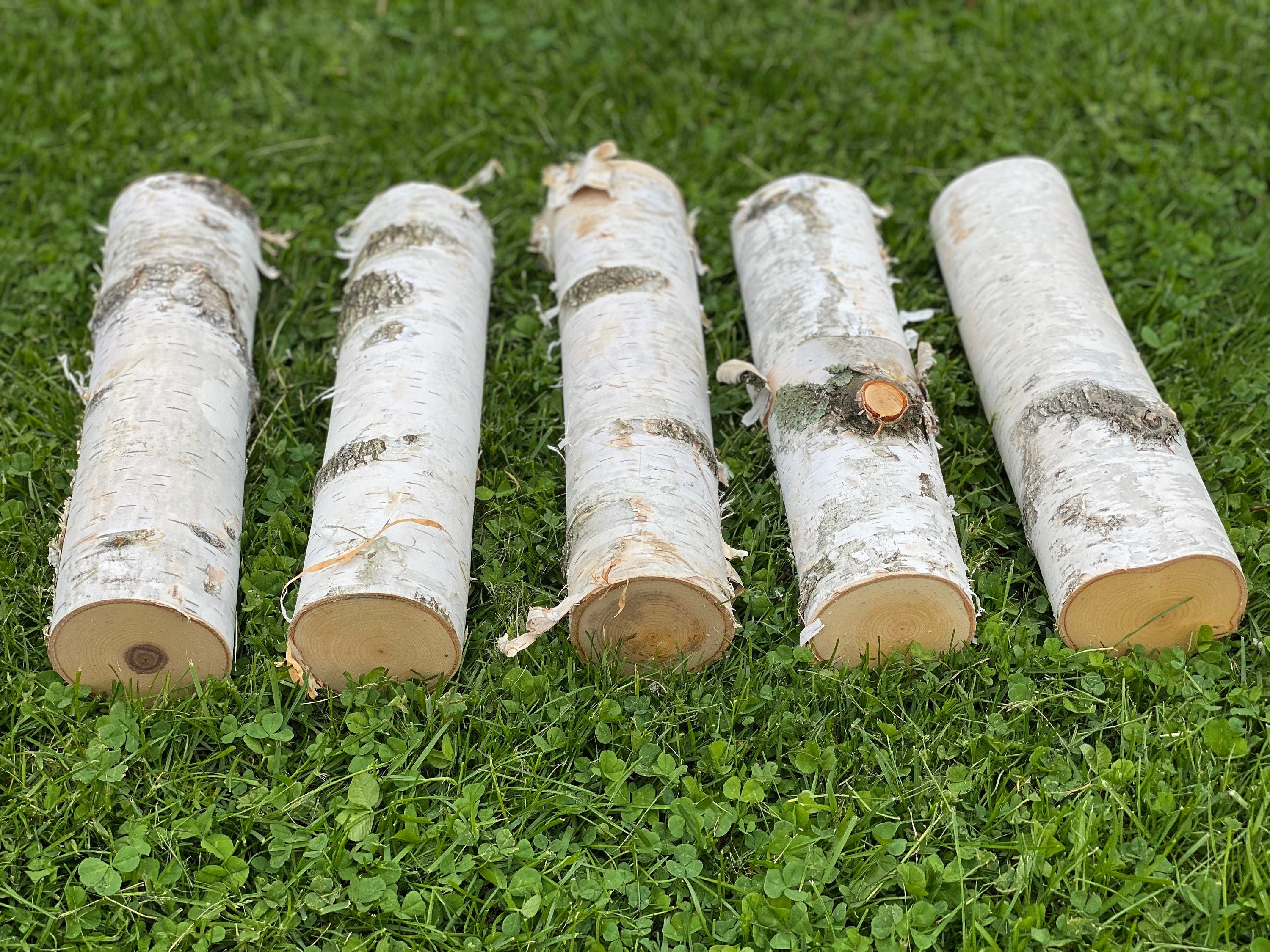 White Birch Branches, 5 Count, 12 inches in Length, Appx 3 Inches Diameter