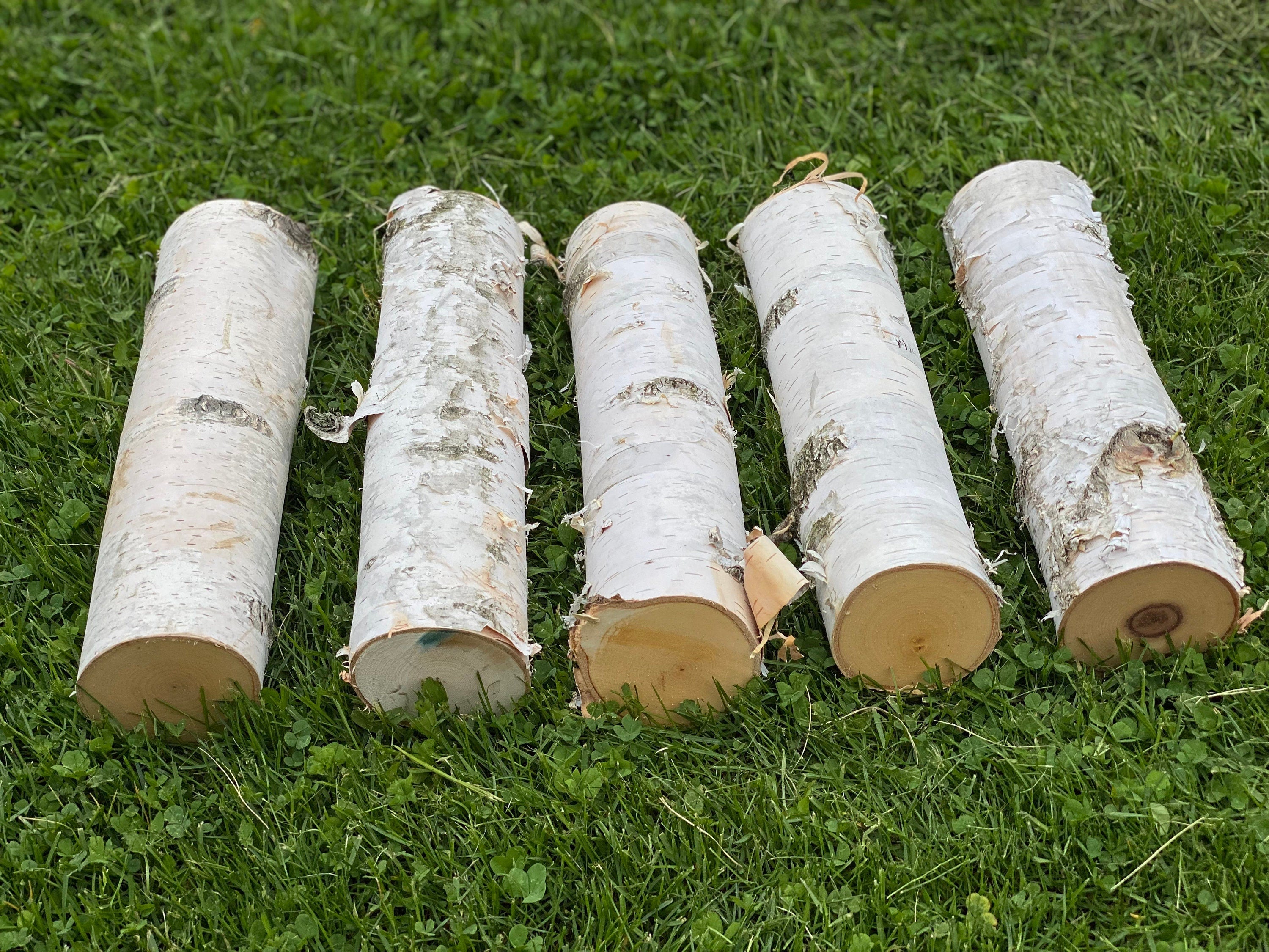 White Birch Branches, 5 Count, 12 inches in Length, Appx 3 Inches Diameter