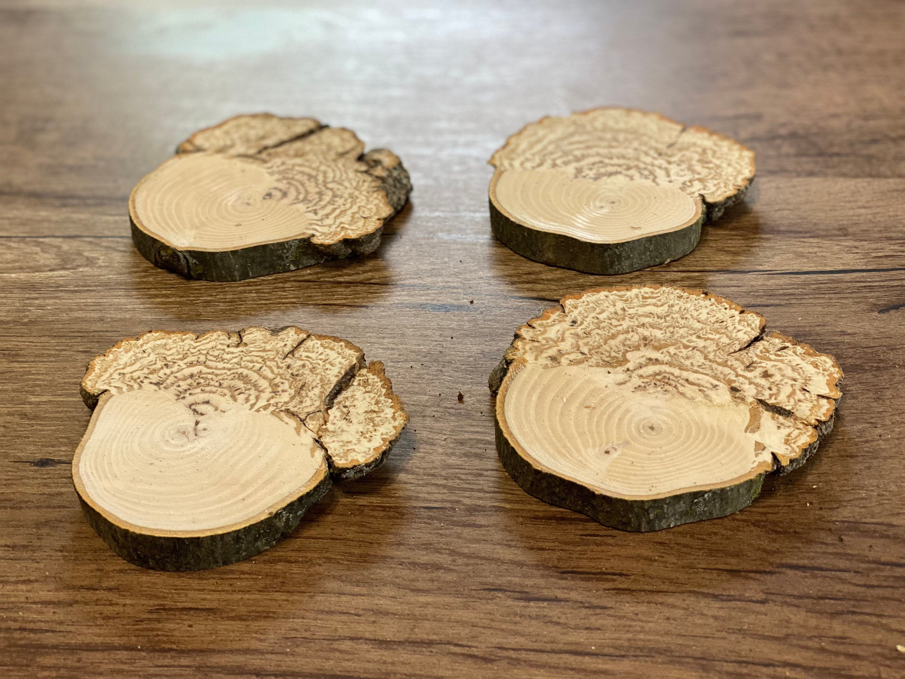 Four Hickory Wood Burl Slices, Approximately 4 Inches in Length by 4 Inches Wide and 1/2 Inch Thick